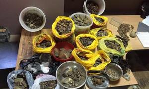 СБУ викрила підпільний цех з обробки бурштину