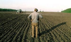 У 2017 році Мінагрополітики пропонує спрямувати близько 3 млрд. грн на підтримку малих та середніх фермерів 