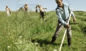 На Волині пройде Турнір із ручного сінокосіння