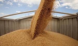 Україна експортувала майже 36,5 млн тонн зерна