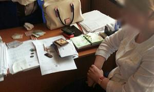 Лікарі МСЕК попались на хабарі у 80 тисяч