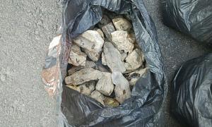 Волинянин приховав в авто  бурштину на мільйон гривень