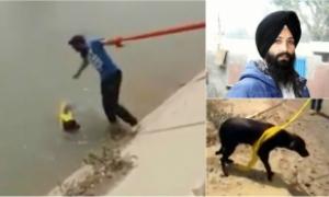 Індієць врятував потопаючу собаку за допомогою мотузки з власного тюрбана (відео)