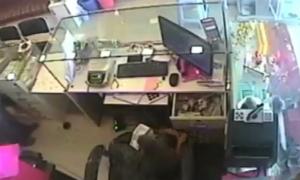 Мавпа пограбувала ювелірний магазин в Індії (відео)
