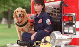Померла остання собака, котра рятувала людей у Нью-Йорку 11 вересня 2001 року