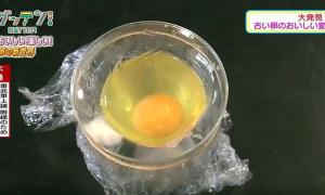 Японські школярі виростили курча в яйці без шкаралупи (відео)
