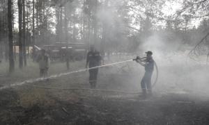 В Херсонській області ліквідували лісову пожежу