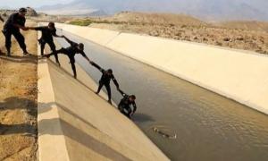 Перуанські поліцейські зробили живий ланцюг, щоб врятувати потопаюче цуценя (відео)