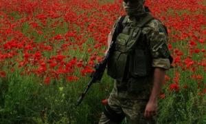 СБУ виявила 120 гектарів незаконного засіву маку на Харківщині 