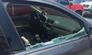 У США поліцейські розбили вікно в розпеченому автомобілі, щоб врятувати цуценя 
