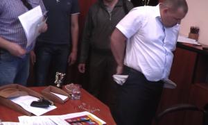 Відео затримання учасників бурштинової мафії на Рівненщині