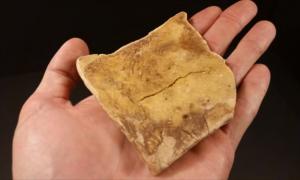 Американець з’їв 150-річний крекер (відео)