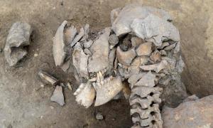 Французькі археологи знайшли кістки з 6000-річного побоїща