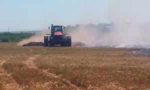У Тернопільській області ледь не згоріли 20 га гороху