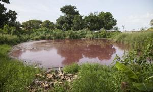 «Криваве озеро» в Мексиці стало кошмаром для місцевих жителів