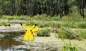 У США 62-річний ловець покемонів застряг у болоті