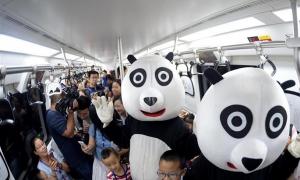 У китайському метро запустили панда-поїзд
