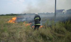 У Миколаївській області за вихідні ліквідовано 42 займання сухої трави