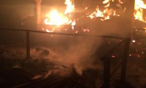 У Київській області згоріло 110  свійських тварин