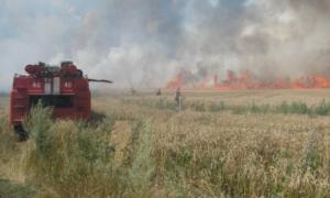 На Волині пожежа знищила 44 га пшениці