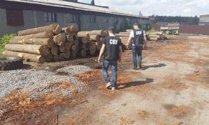 На Вінниччині зупинено масштабну вирубку лісів 