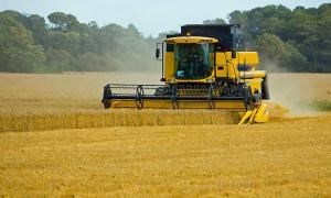 В Україні намолочено 37,6 млн тонн зерна