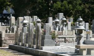 В Японії створено програму для перегляду послань від мертвих

