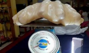 Філіппінцям показали 34-кілограмову перлину вартістю $ 100 млн, виловлену 10 років тому