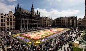 У Брюсселі на фестивалі «Квітковий килим» вистелили орнамент із 600 тисяч бегоній (фото)