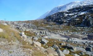 Палеонтологи виявили на території Гренландії древні сліди життя
