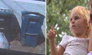 У США 2-річній дівчинці виписали штраф за сміття на вулиці 
