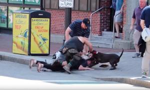 У Бостоні відчайдушна господиня відбила свого бігля від розлюченого пітбуля (відео)
