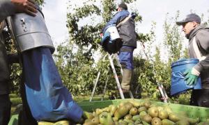 З 2017 року потік українських працівників до Польщі може скоротитися