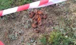 Мешканець Вінниці знайшов 13 кг ртуті
