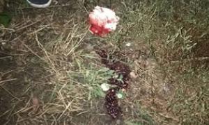 Під Києвом неповнолітні влаштували розборки зі стріляниною