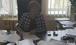 На Полтавщині чиновниця створила цілу систему гендлювання  землею