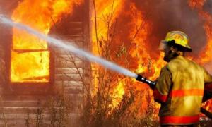 З початку року на пожежах в Україні загинуло 1070 людей
