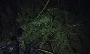 У Чернігівській області прикордонники затримали «наркокур’єра» на велосипеді