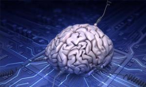 Британські вчені виростили штучний мозок зі шкіри людини