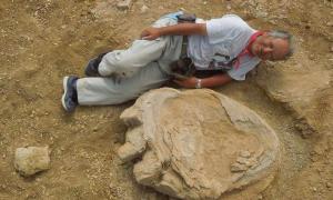 У пустелі Гобі виявили величезний слід динозавра 