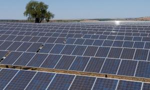 Сонячна енергія до 2025 року стане дешевшою на 60%