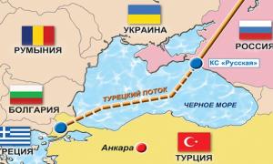 Президенти Росії та Туреччини домовилися продовжити будівництво “Турецького потоку”