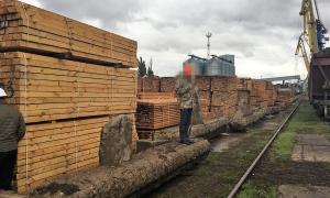 СБУ перекрила нелегальний експорт деревини через Херсонський річковий порт