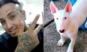 Бразильський тату-майстер набив своєму собаці п’ять татуювань