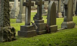 У Швеції відкрили кладовище для атеїстів