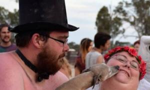 В Австралії наречена вийшла заміж в одній фаті (фото)
