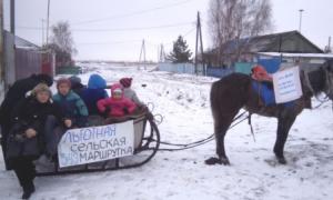 У Росії автобусний маршрут замінили на віз з конем