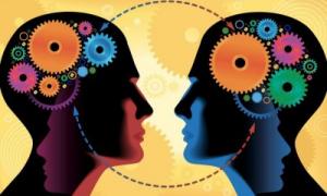 У будові головного мозку жінок і чоловіків знайдені нові відмінності
