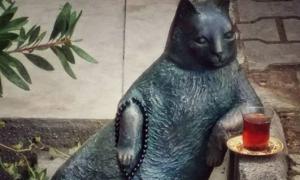 У Стамбулі вкрали пам’ятник коту

