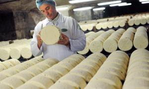 Учені: жирний сир може бути частиною здорової дієти